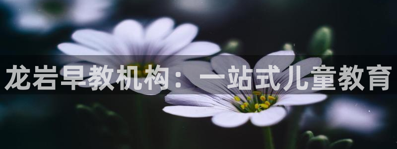 威九国际提款不出来:龙岩早教机构:一站式儿童教育