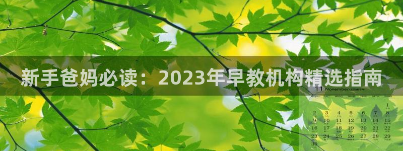 威九国际精忐:新手爸妈必读:2023年早教机构精选指南