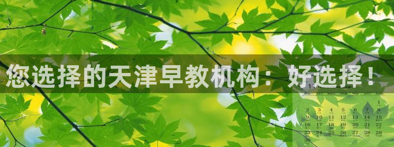 威九国际网站进入公司不断创新:您选择的天津早教机构:好选择!
