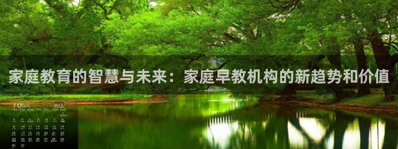 78mapp威九国际神曲口服液：家庭教育的智慧与未来：家庭早教机构的新趋势和价值