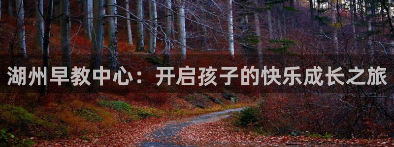 威九国际体育app下载：湖州早教中心：开启孩子的快乐成长之旅