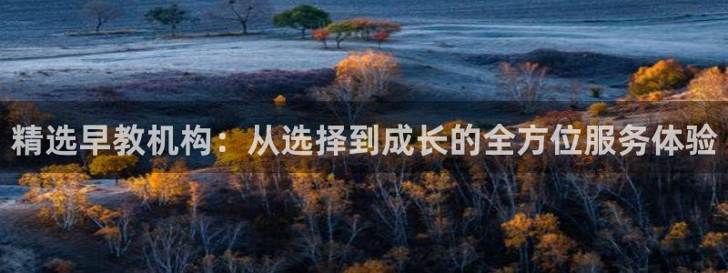 威九国际app入口在哪：精选早教机构：从选择到成长的全方位服务体验