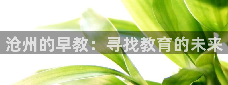 威九国际ppt免费吗：沧州的早教：寻找教育的未来