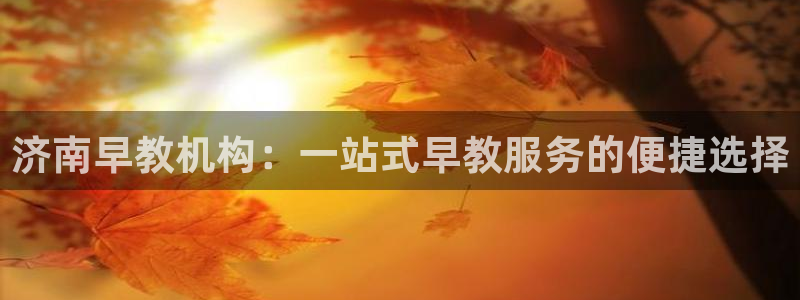 威九国际免费版：济南早教机构：一站式早教服务的便捷选择