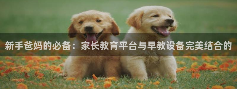 威九国际APP下载：新手爸妈的必备：家长教育平台与早教设备完美结合的