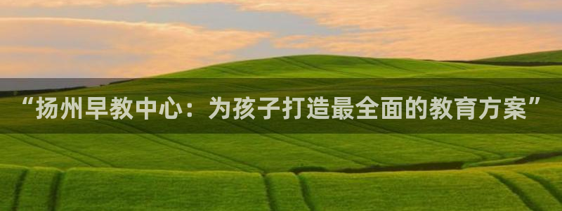 威九国际mb:“扬州早教中心:为孩子打造最全面的教育方案”