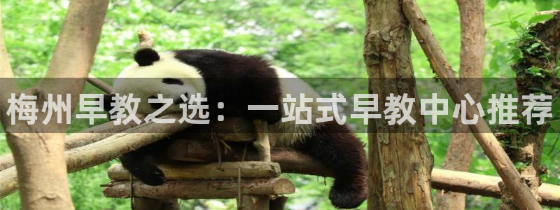 威九国际78app:梅州早教之选:一站式早教中心推荐