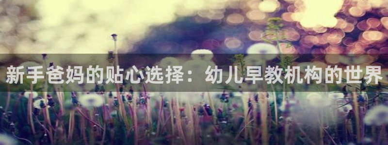 威九国际66m66成长模式免费:新手爸妈的贴心选择:幼儿早教机构的世界