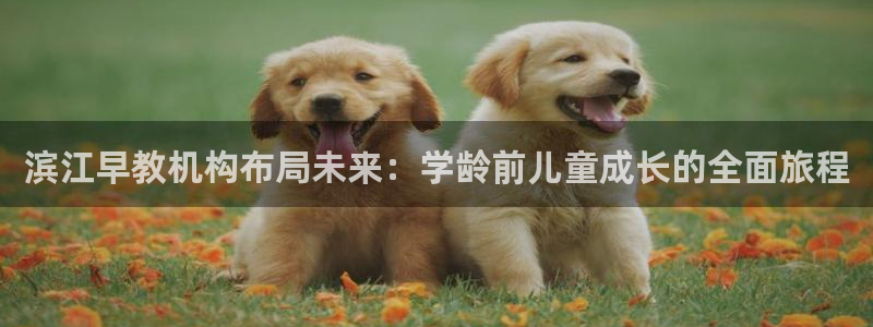 威九国际网站进入AB,AB:滨江早教机构布局未来:学龄前儿童成长的全面旅程