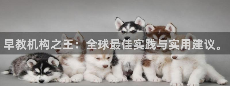 威九国际Info:早教机构之王:全球最佳实践与实用建议。