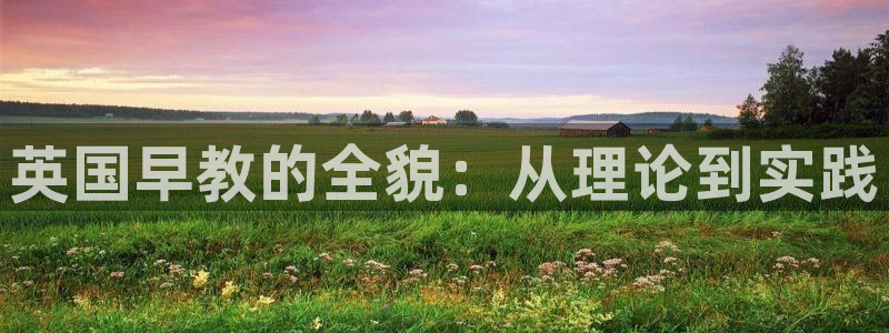 威九国际X8:英国早教的全貌:从理论到实践