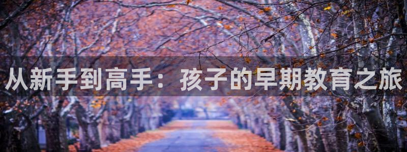 威九国际的金融服务怎么样：从新手到高手：孩子的早期教育之旅