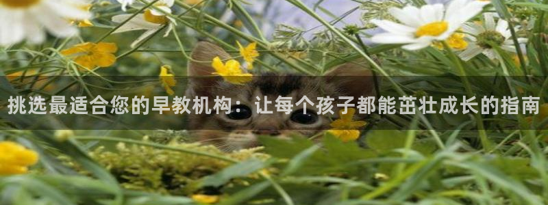 威九国际在线平台怎么样啊:挑选最适合您的早教机构:让每个孩子都能茁壮成长的指南