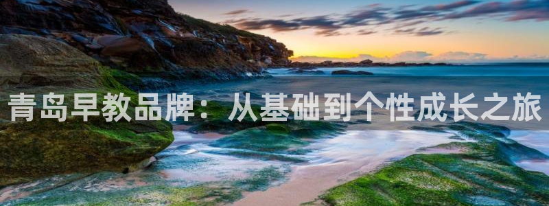 威九国际免费版:青岛早教品牌:从基础到个性成长之旅