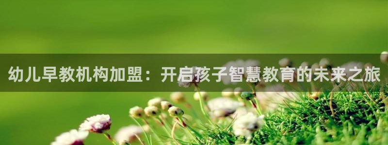 威九国际女神:幼儿早教机构加盟:开启孩子智慧教育的未来之旅