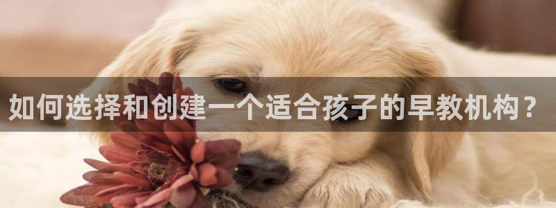 威九国际fX8x:如何选择和创建一个适合孩子的早教机构?