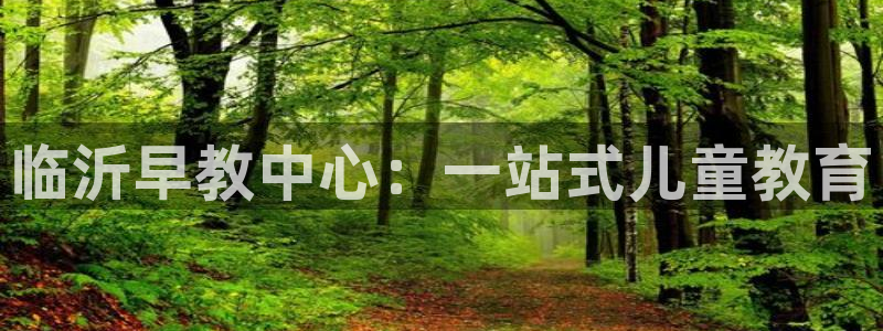 威九国际78:临沂早教中心:一站式儿童教育