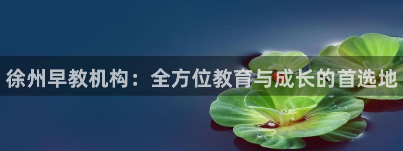 威九国际图片:徐州早教机构:全方位教育与成长的首选地