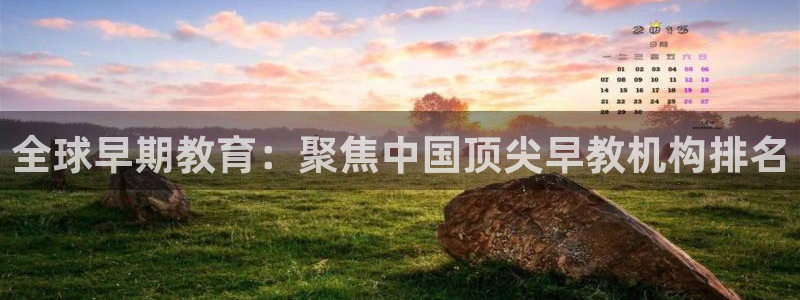 威九国际客服电话:全球早期教育:聚焦中国顶尖早教机构排名