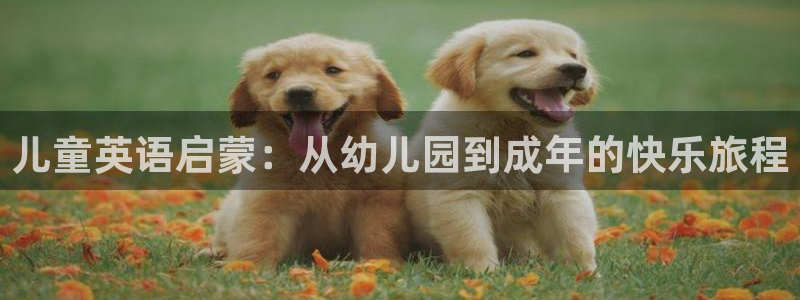 威九国际抡里:儿童英语启蒙:从幼儿园到成年的快乐旅程
